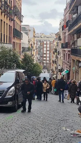 Aventura Supervivencia - Madrid