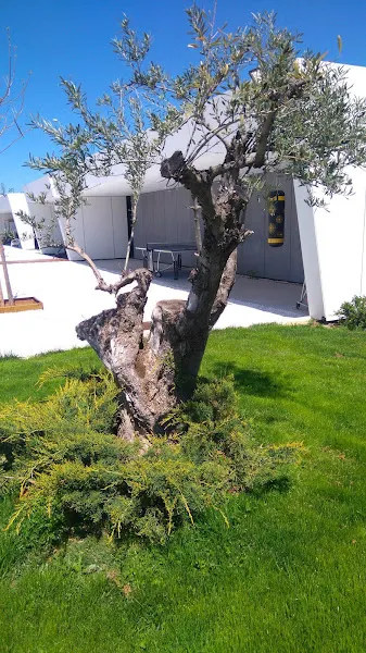 Clínica Recal. Centro de desintoxicación en Madrid y rehabilitación de adicciones. - Majadahonda
