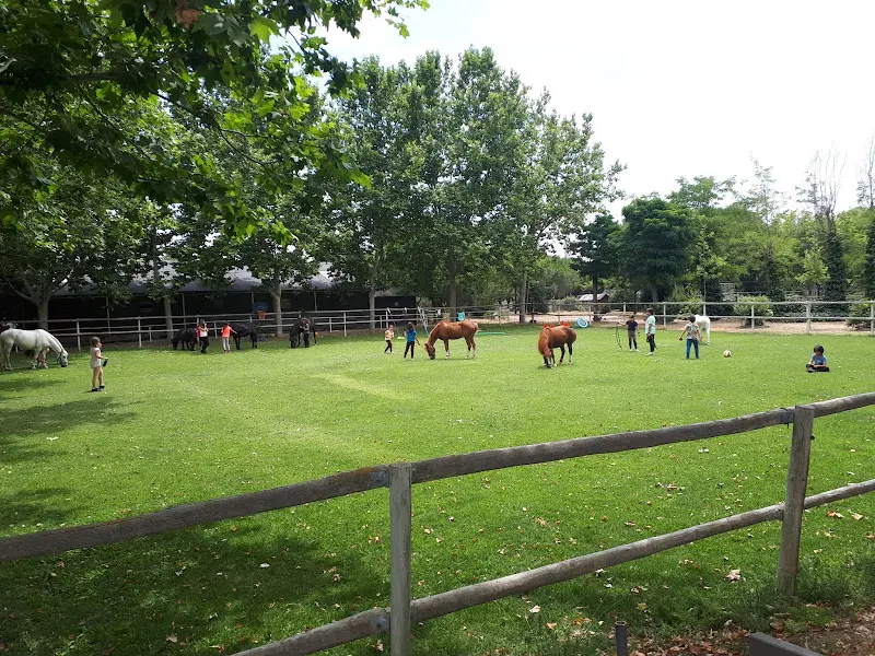 Escuela de equitación y Pony Club Perales del Rio - Getafe