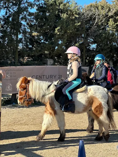 Hípica La Moraleja y Pony Club - San Sebastián de los Reyes
