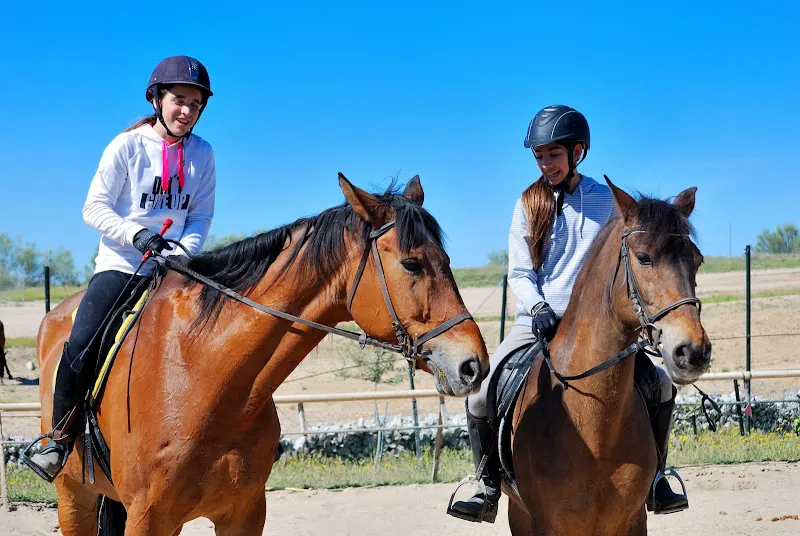 Hípica La Colina - Escuela de equitación en Madrid - foto 2