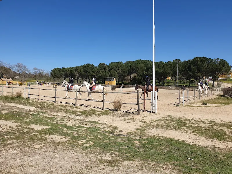 Club Hípico Yabusan - Escuela de equitación en Alcorcón - foto 2