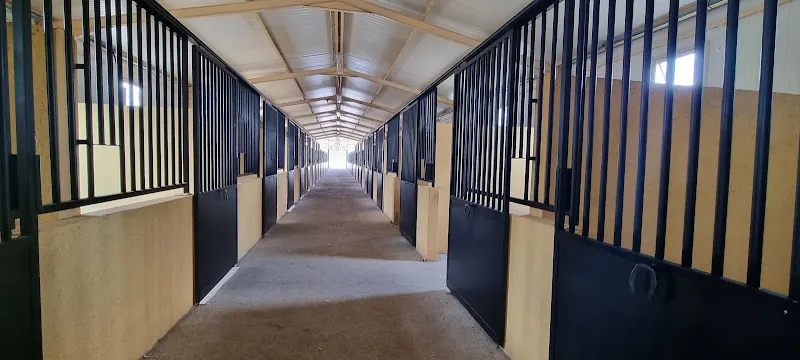Hipica Centro Ecuestre 51 - Fuente el Saz de Jarama