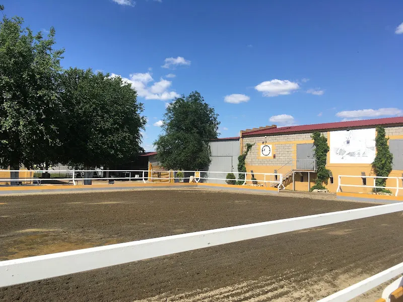 El Duende centro Hipico - Escuela deportiva en Morata de Tajuna - foto 2