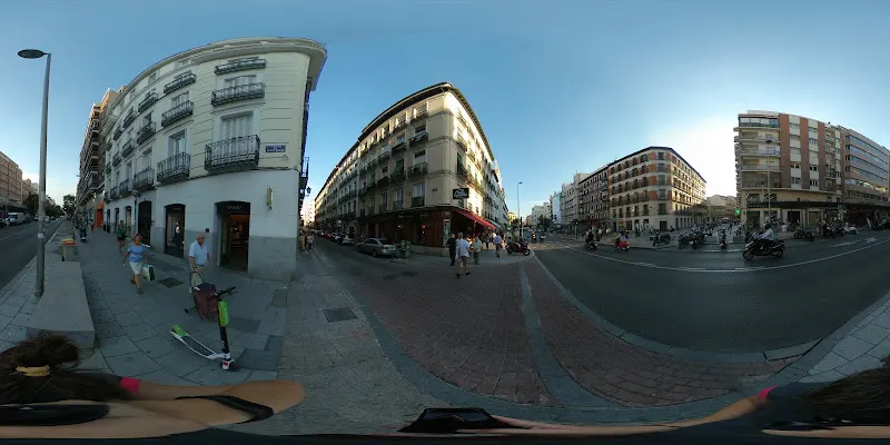 Viena Capellanes