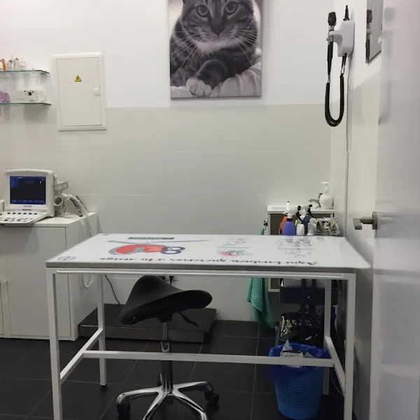 Clínica Veterinaria Padilla - Veterinario en Madrid - foto 3