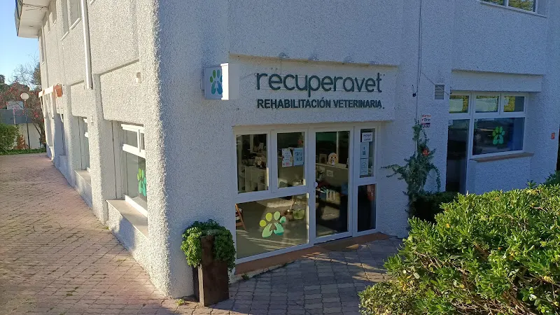 Recuperavet