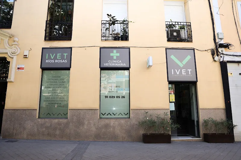 IVET Clínica Veterinaria Rios Rosas - Veterinario en Madrid - foto 2