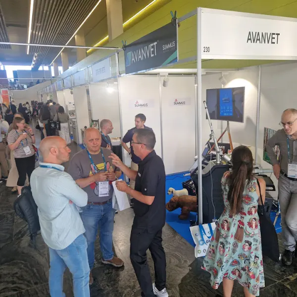 Avanvet | Tecnología Láser Veterinaria - Oficinas de empresa en Madrid - foto 2