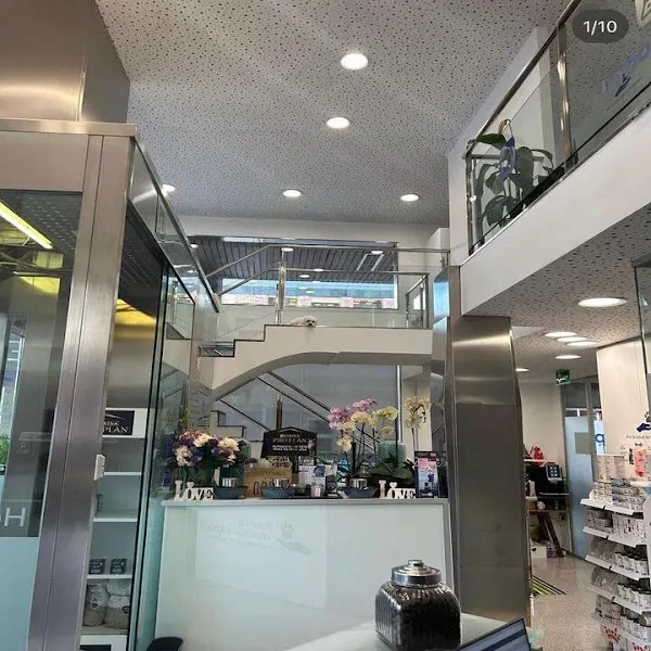 Hospital Veterinario Azca - Madrid