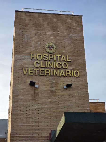 Hospital Clínico Veterinario Complutense - Madrid