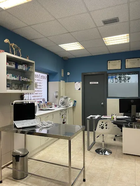 Centro Veterinario Numancia