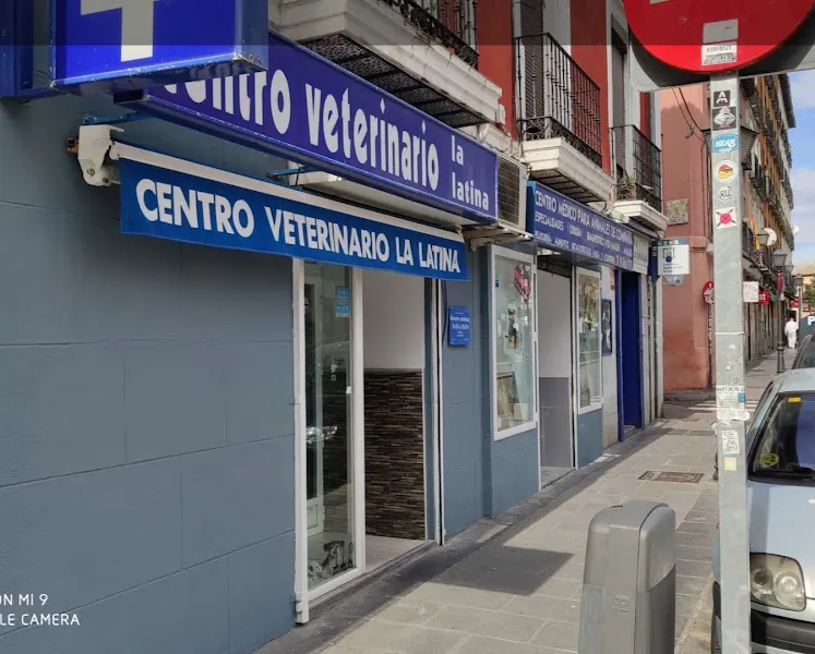 Centro Veterinario La Latina. Dr Gonzalo Espada López - Veterinario en Madrid - foto 2