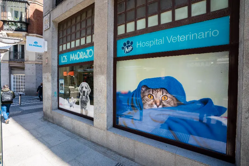 Centro Veterinario La Mascotte