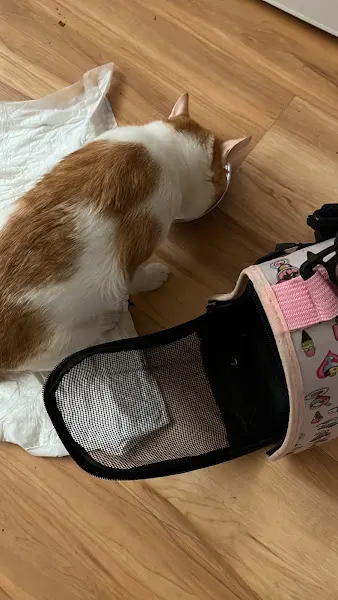 VETPA