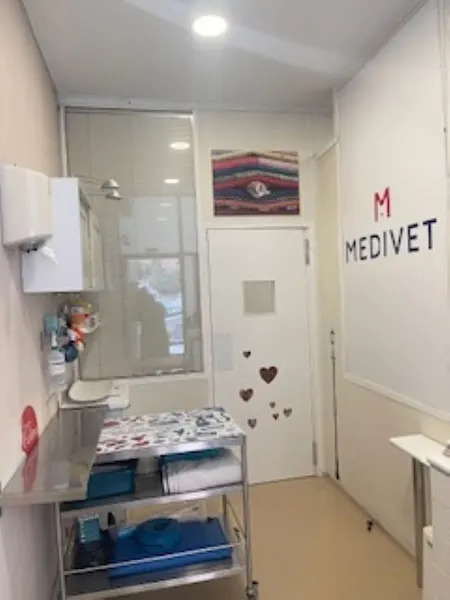 Medivet Puerta de Toledo
