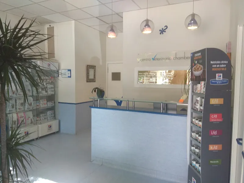 Centro Veterinario Chamberí - Veterinario en Madrid - foto 2