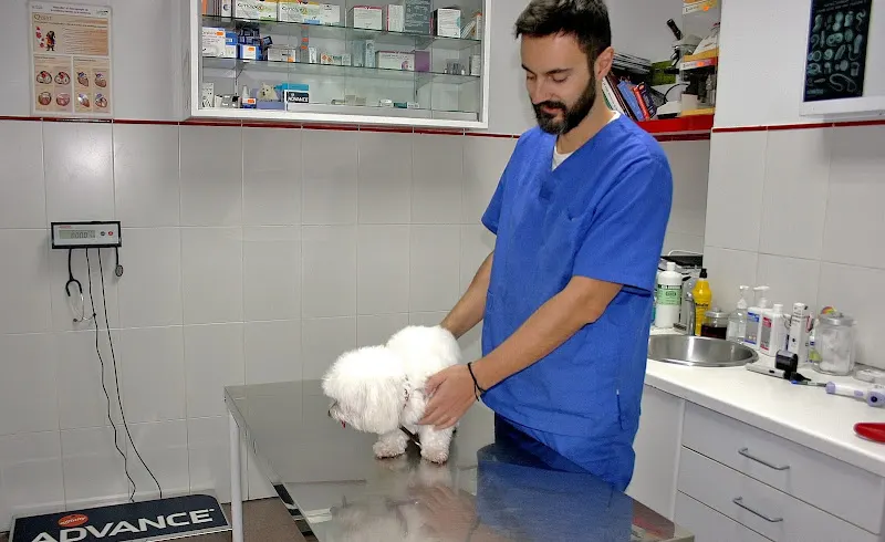 Clínica Veterinaria Galileo