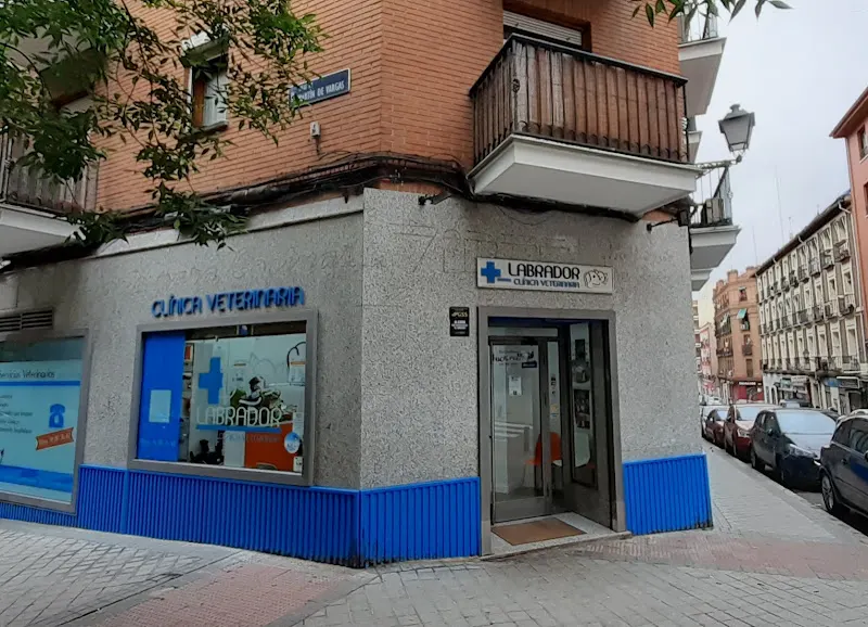 Clínica Veterinaria Labrador - Veterinario en Madrid - foto 2
