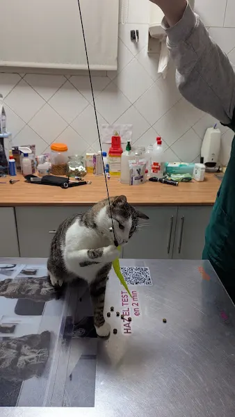 Centro Veterinario Madrivet Vallehermoso