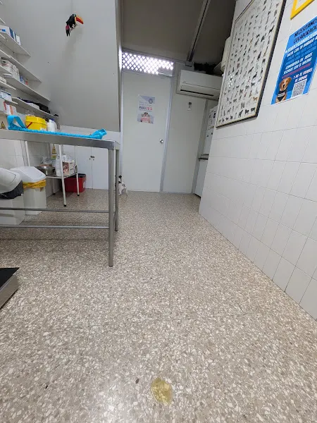 Clínica Veterinaria Tucán (CITA PREVIA ) - Veterinario en Madrid - foto 2