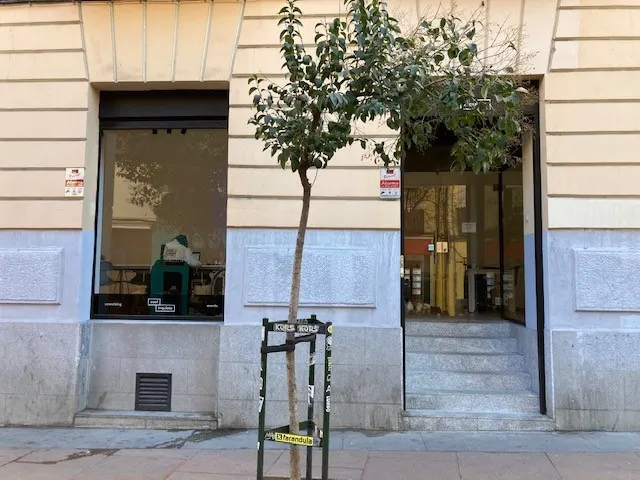Talent in People | Consultoría de Formación - Madrid