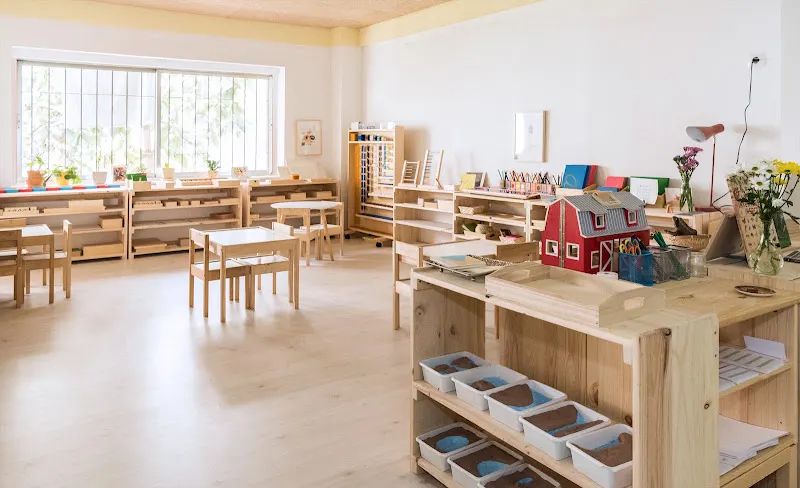 Big Little School