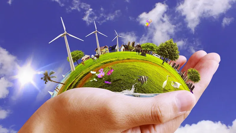 ALLPE - Consultora medioambiental en Madrid - foto 2