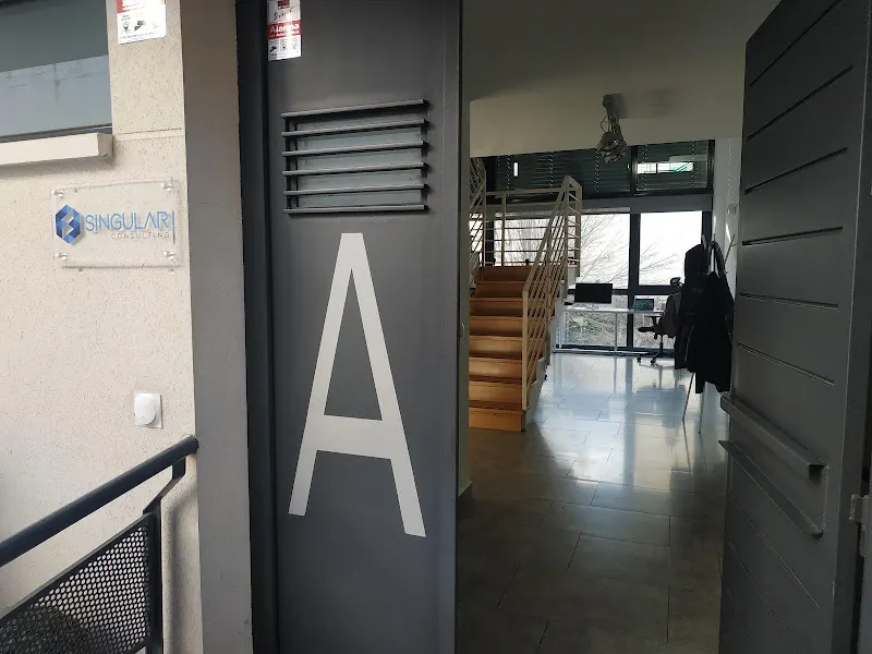Singular Consulting. Consultora tecnológica - Madrid