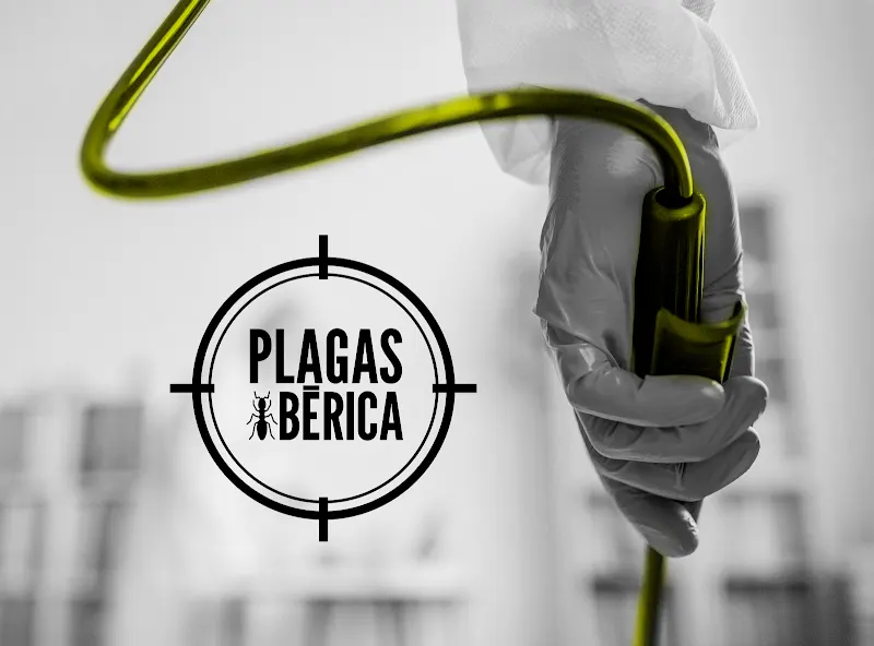 Plagas Ibérica - Empresa de fumigación y control de plagas en Madrid - foto 2