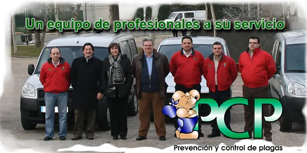 Contratas y Servicios Car S.L.