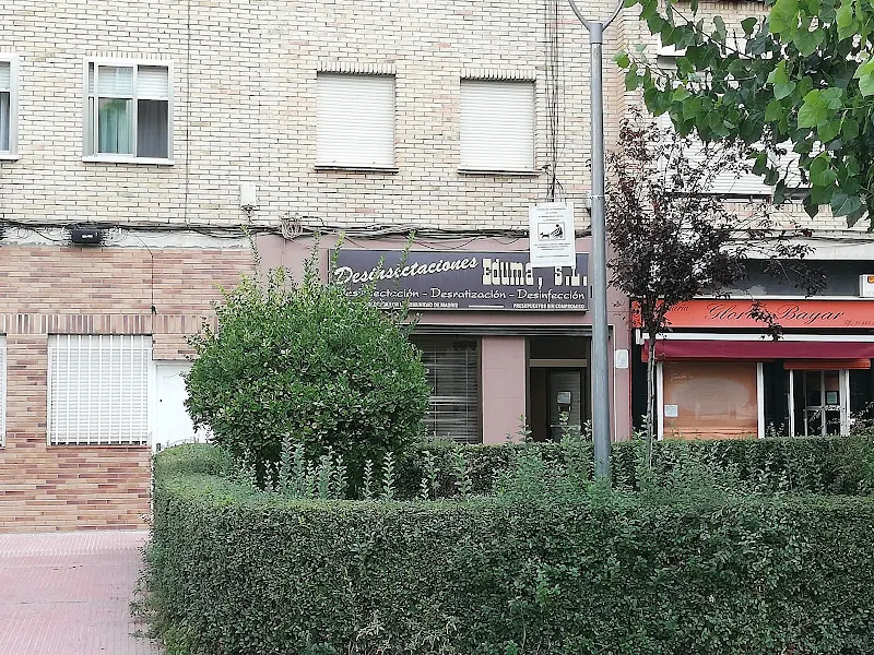 Desinsectaciones EDUMA, S.L. - Empresa de fumigación y control de plagas en Mostoles - foto 2