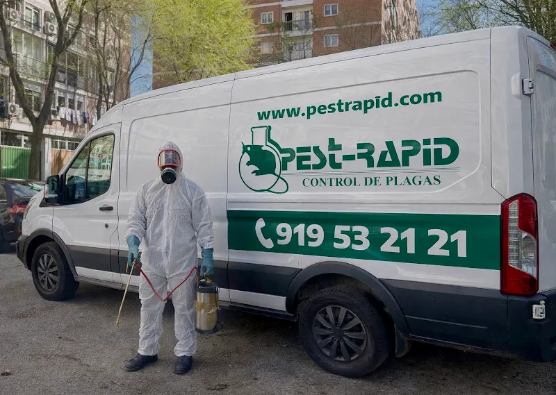 Pest-Rapid | Control de Plagas - Empresa de fumigación y control de plagas en Madrid - foto 2