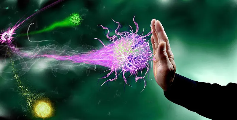 Pest Consulting | Control de Plagas