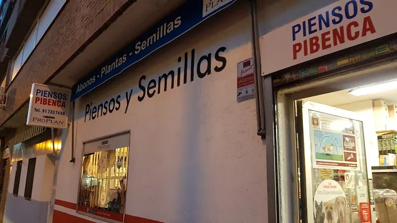 Pibenca S.L.