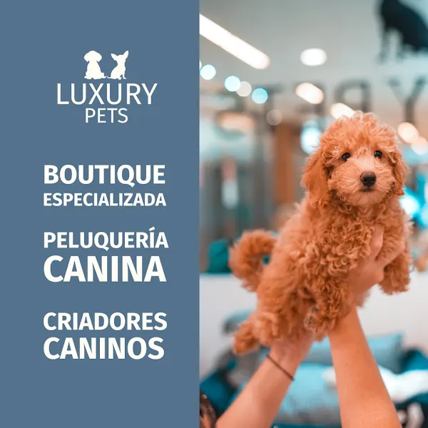 Luxury Pets - Peluquero de mascotas en Madrid - foto 2