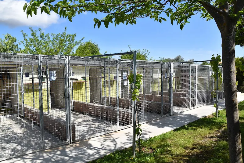 Granja la Luna residencia canina gatos en Madrid (Oficina)