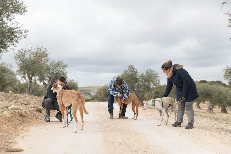 ACUNR - Animales Con Un Nuevo Rumbo - Cádiz