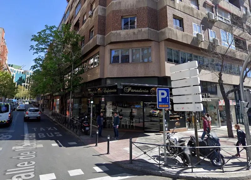 Real Sociedad Canina de España (RSCE) - Asociación u organización en Madrid - foto 2