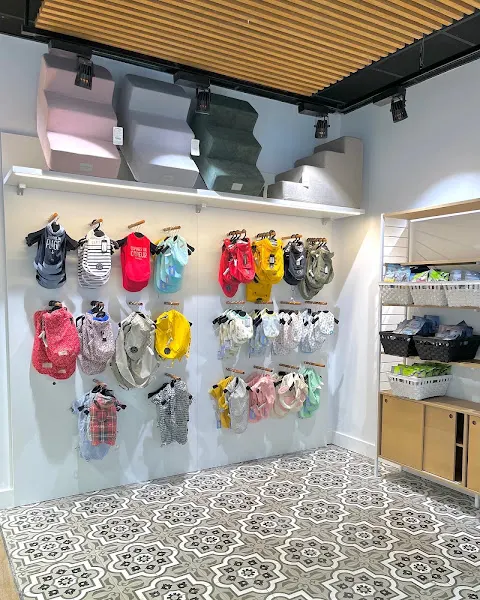 Mascoboutique - Tienda de productos para mascotas en Madrid - foto 3