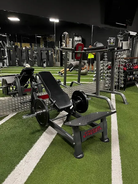 estudio de fitness danila gorila.