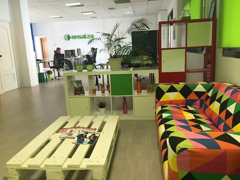 Ensalza: Desarrollo y Diseño web en Madrid