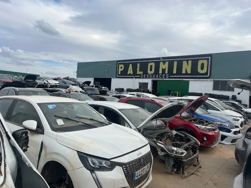 Desguaces Palomino - Valdemoro