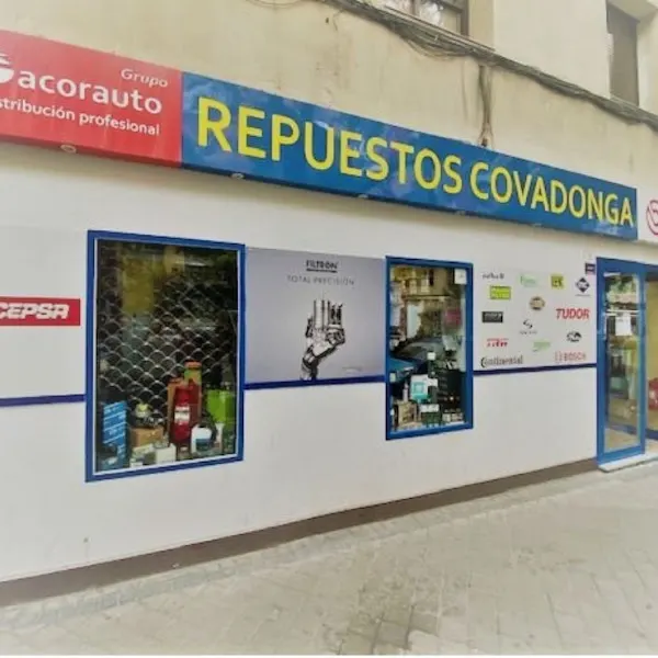 Repuestos Covadonga - Tienda de repuestos para automóviles en Madrid - foto 3