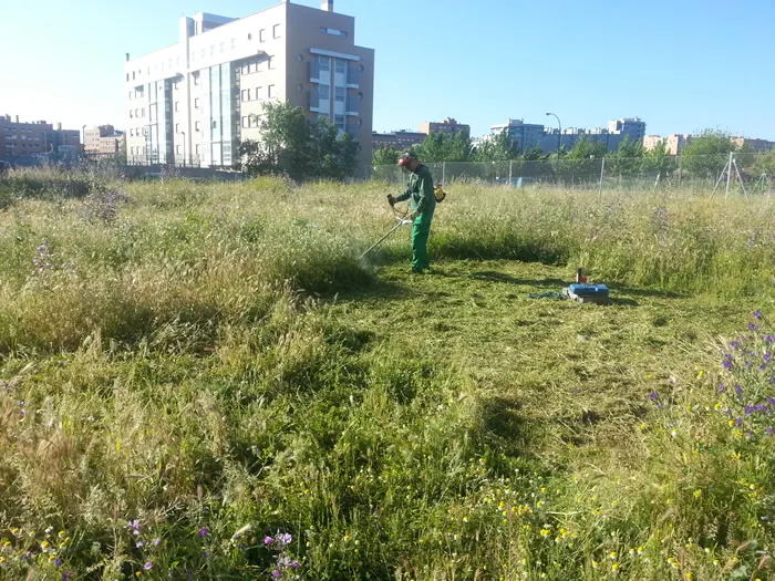 Agar Española Ingenieros, S.l - Ingeniero agrónomo en Madrid - foto 2