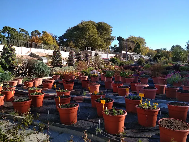 Vivero de Estufas del Retiro - Madrid
