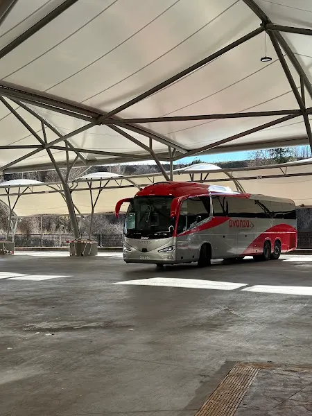 Avanza - Empresa de autobuses en Madrid - foto 2