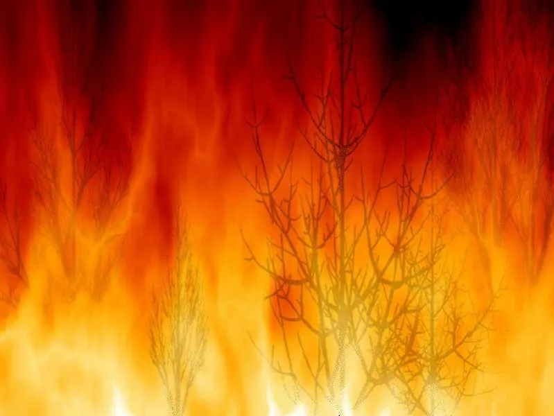 Grupo FIRE MADRID - Loeches