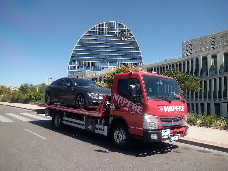 ASISTENCIA DEL TORO SL - Servicio de transporte en Madrid - foto 2