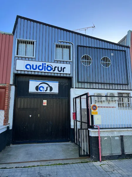 Audiosur Madrid